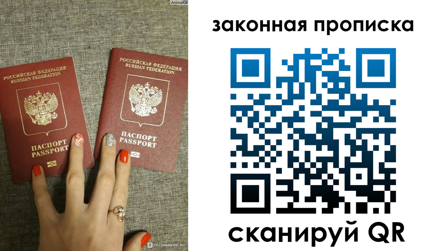 прописка для школы в Щёлково